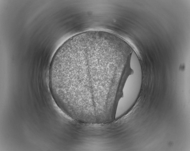 X0000090761100200708172043