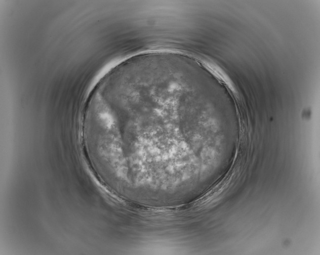 X0000090761101200708172043