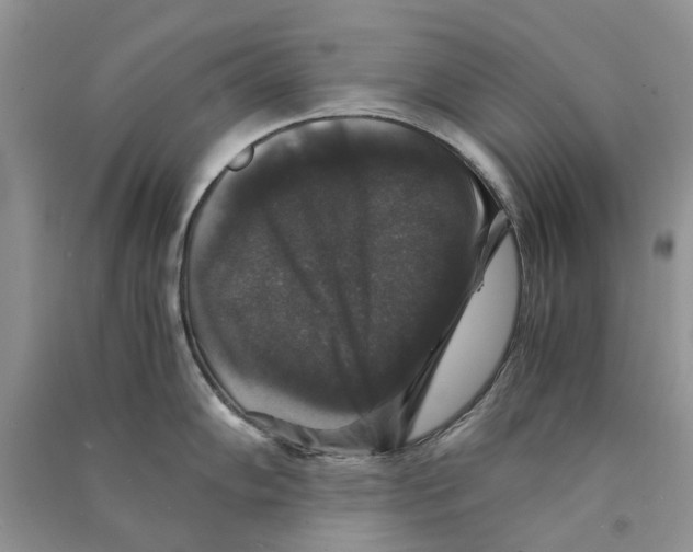 X0000090761102200708172043