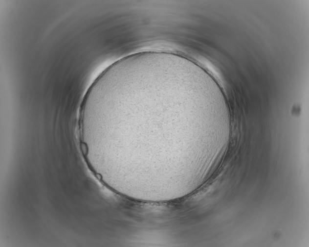 X0000090761103200708172043