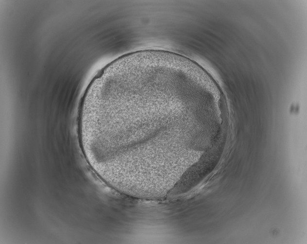 X0000090761104200708172043