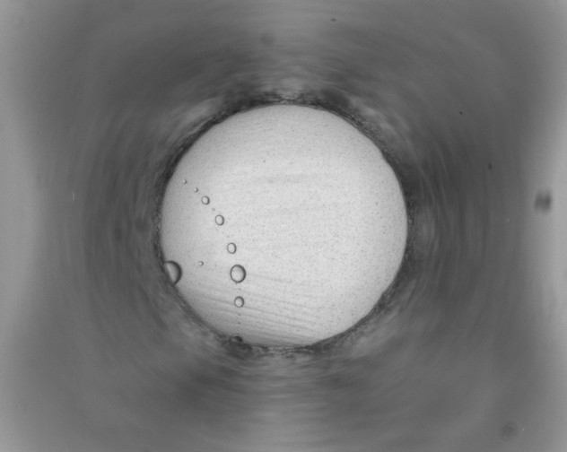 X0000090761105200708172042