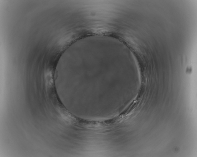 X0000090761106200708172042