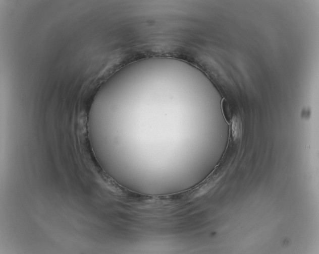 X0000090761107200708172042