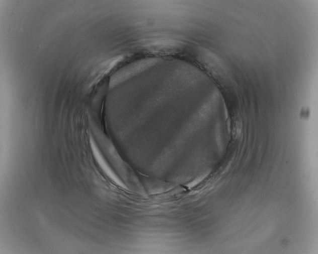 X0000090761108200708172042