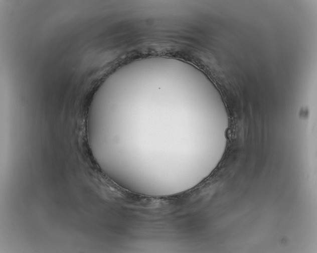 X0000090761109200708172042