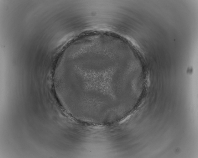 X0000090761110200708172042