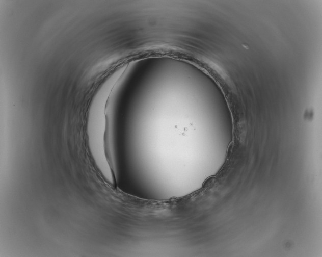 X0000090761111200708172042