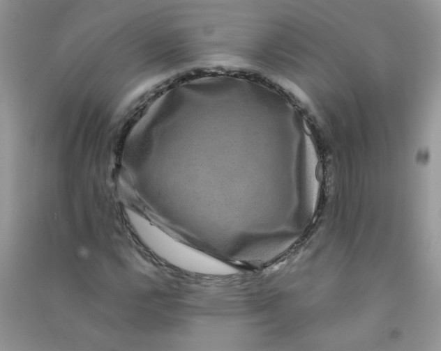 X0000090761112200708172042