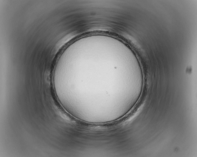 X0000090761113200708172042