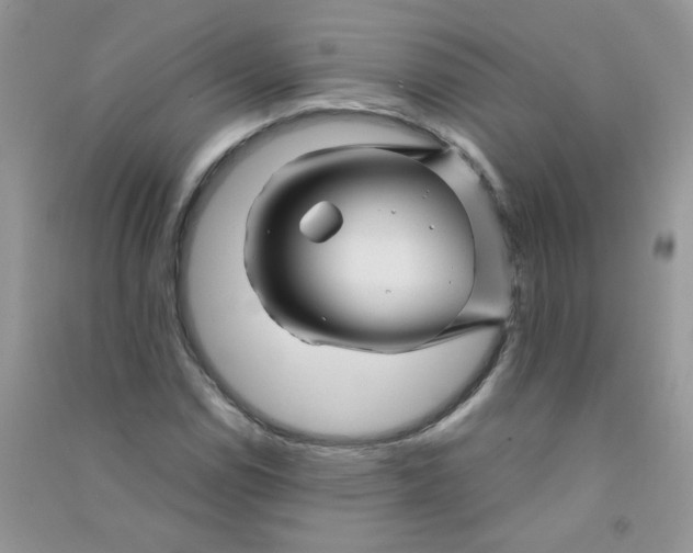 X0000090761114200708172042