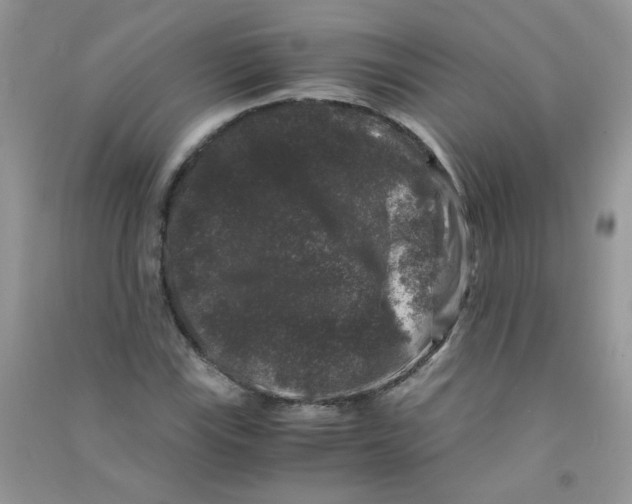 X0000090761115200708172042