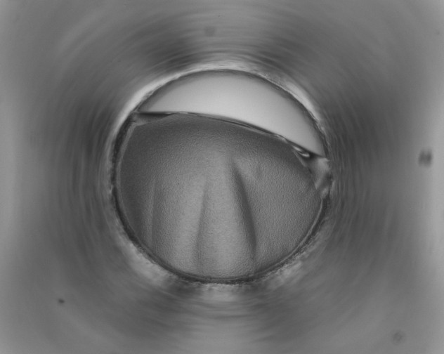 X0000090761116200708172042