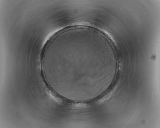 X0000090761117200708172042