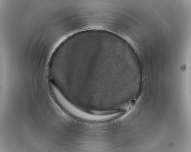 X0000090761118200708172042