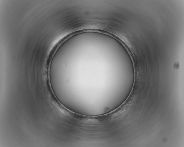 X0000090761119200708172042