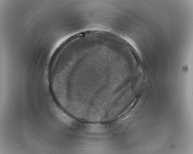 X0000090761120200708172042