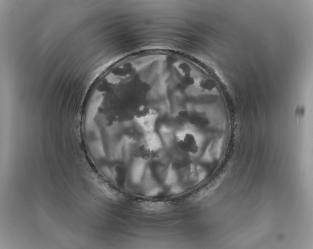 X0000090761121200708172042