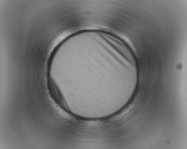 X0000090761122200708172042