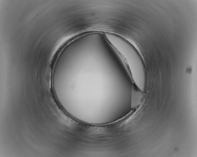 X0000090761123200708172042