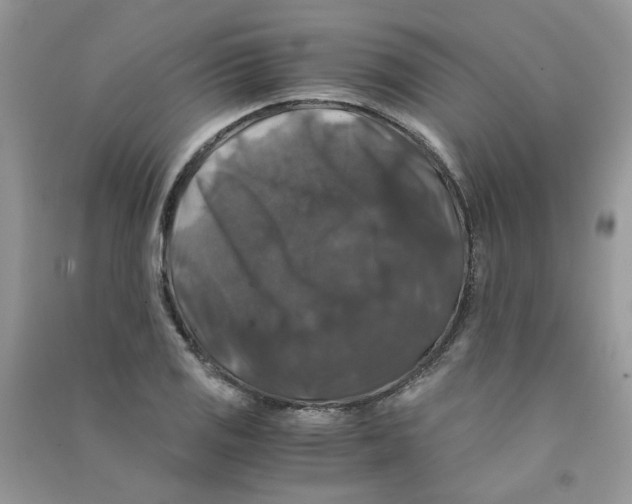 X0000090761125200708172042