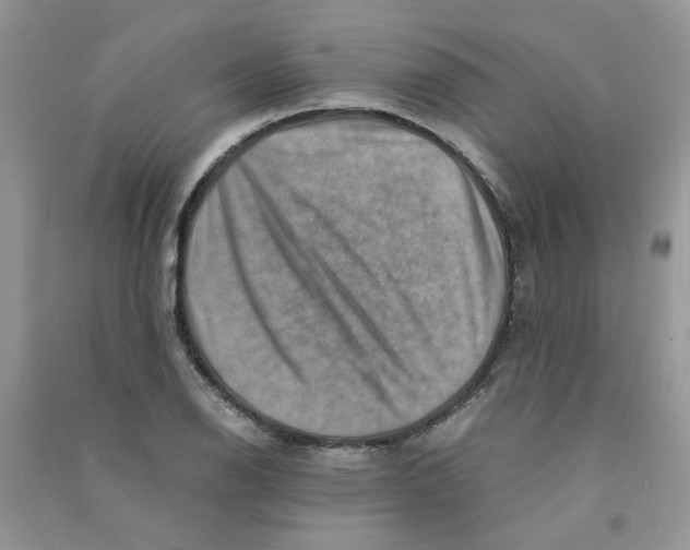 X0000090761126200708172042