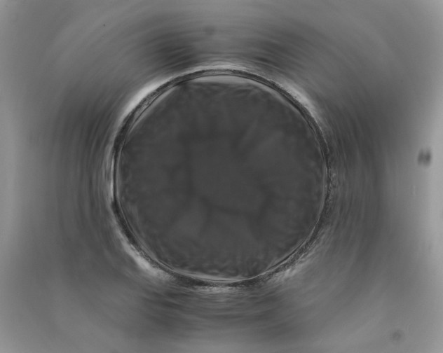 X0000090761127200708172042