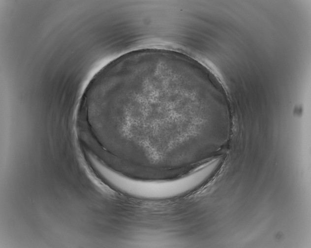 X0000090761128200708172042