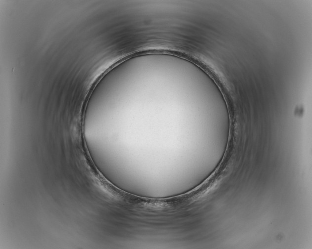 X0000090761129200708172042