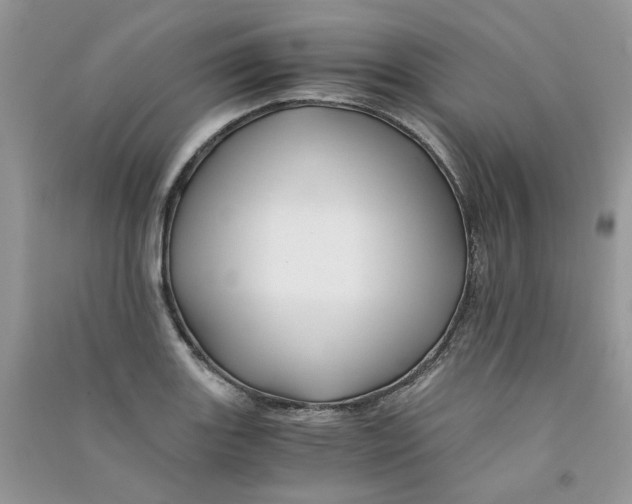 X0000090761131200708172042