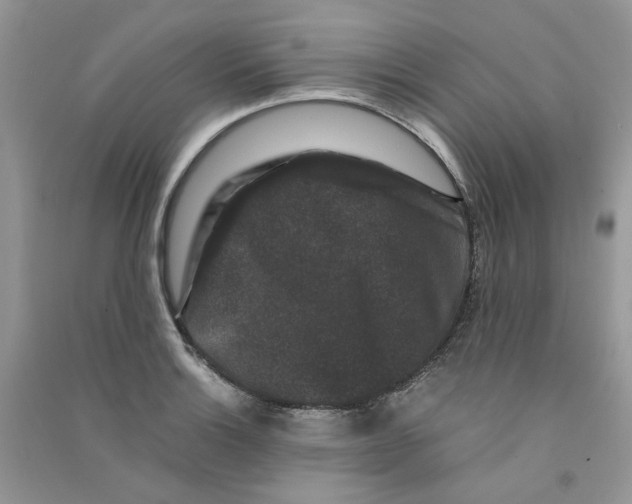 X0000090761132200708172042