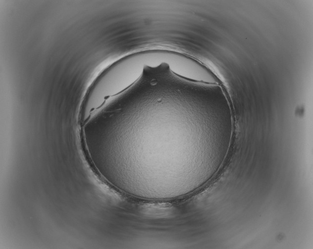 X0000090761133200708172042