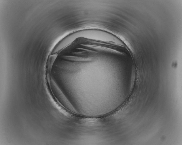 X0000090761134200708172042