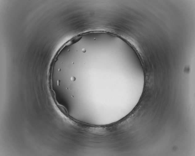 X0000090761135200708172042