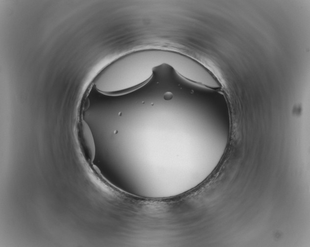 X0000090761136200708172042