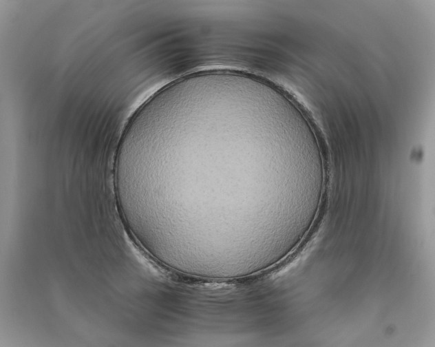 X0000090761137200708172042