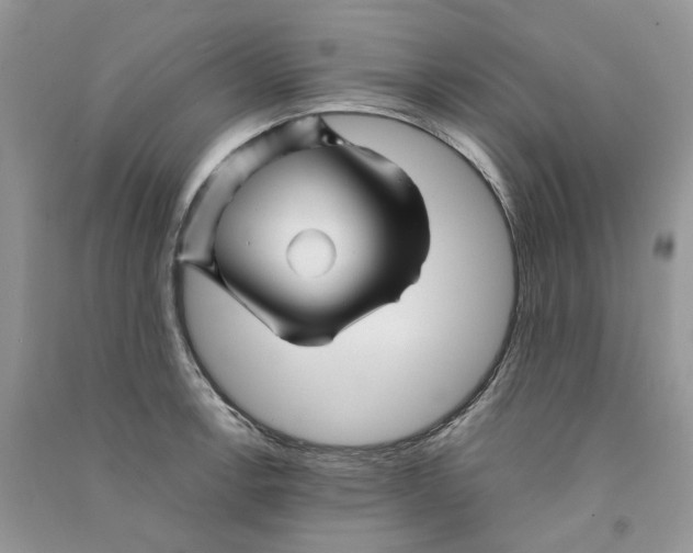 X0000090761138200708172042