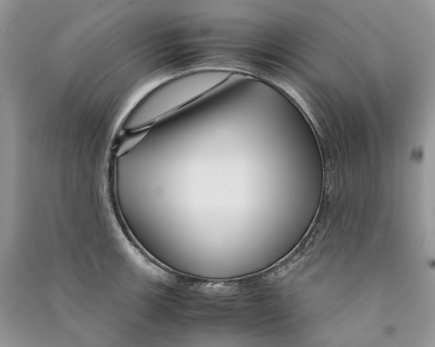 X0000090761139200708172042