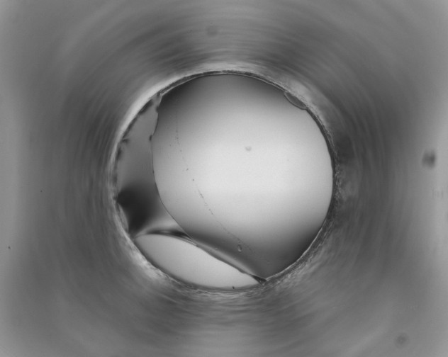 X0000090761140200708172042