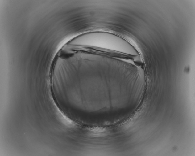 X0000090761141200708172042