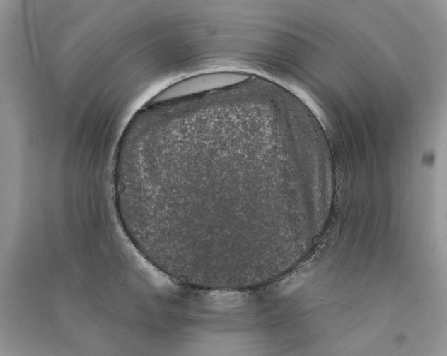 X0000090761142200708172042