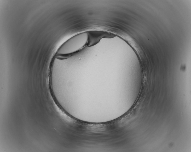 X0000090761143200708172042