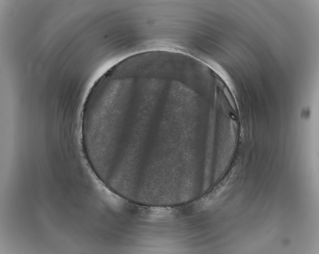 X0000090761144200708172042