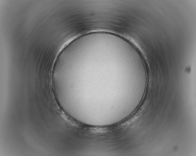 X0000090761145200708172042