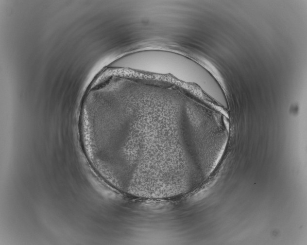 X0000090761146200708172042