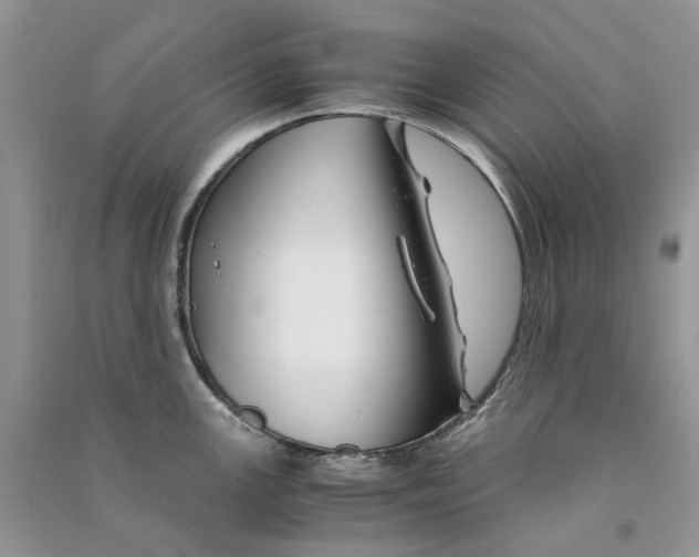 X0000090761147200708172042