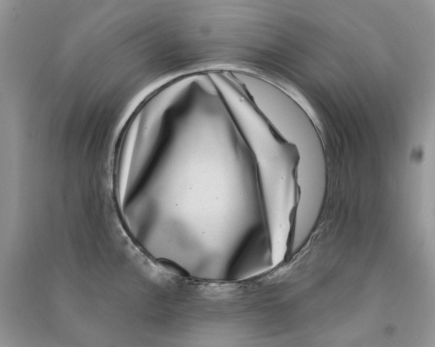 X0000090761148200708172042