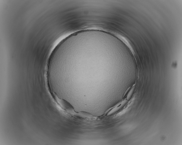 X0000090761149200708172042