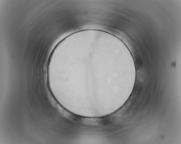 X0000090761150200708172043