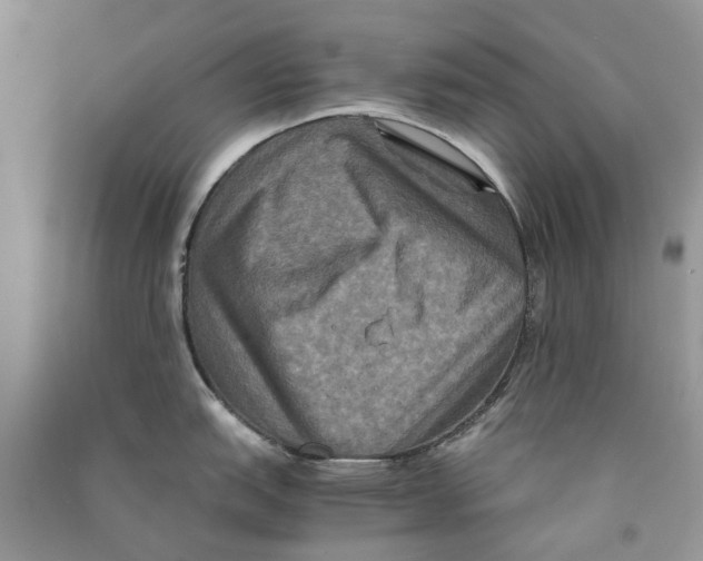 X0000090761151200708172043